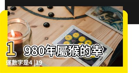 屬猴幸運數字|屬猴的幸運數字是什麼？全面解析及運用指南